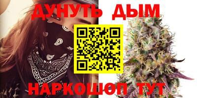 a pvp Будённовск