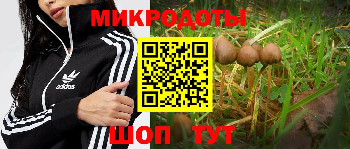 Псилоцибиновые грибы Cubensis Семёнов